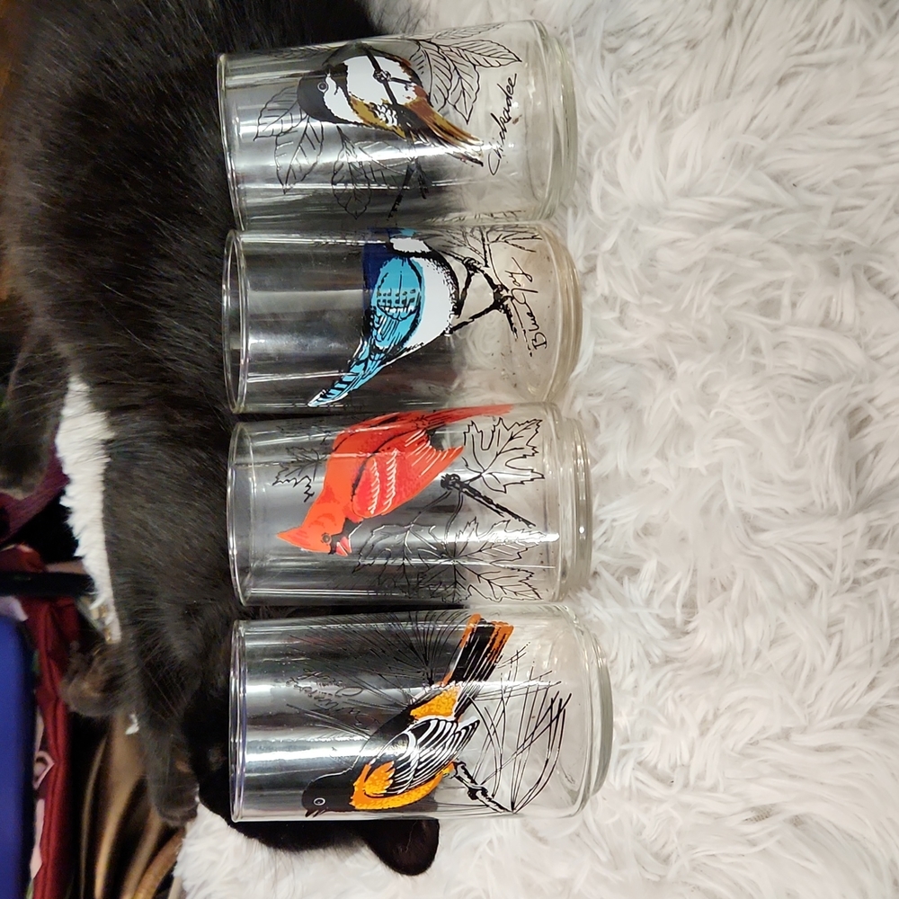 Vintage Libby Singing Birds Glasses Set of 4